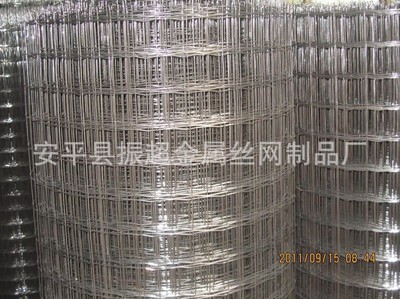 【生产供应镀锌荷兰网】价格,厂家,图片,金属网,安平县振超金属丝网制品厂-