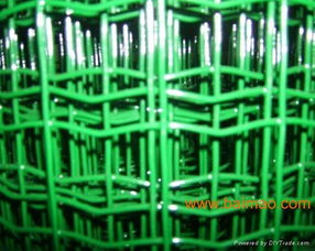 厂家大量生产优质荷兰网,厂家大量生产优质荷兰网生产厂家,厂家大量生产优质荷兰网价格