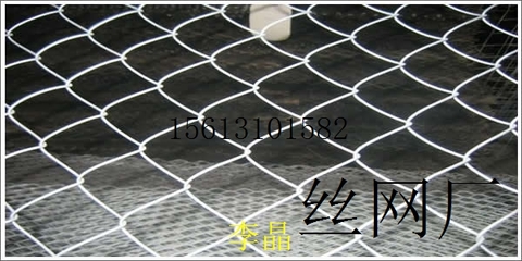 【毕节边坡防护勾花网/遵义植草勾花网厂家】今日行情价格走势_报价_图片-一诺金属丝网制品厂