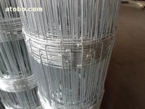 【金属丝网】_金属丝网价格_金属丝网图片_金属丝网批发_金属丝网厂家 - 供应信息 - 阿土伯交易网